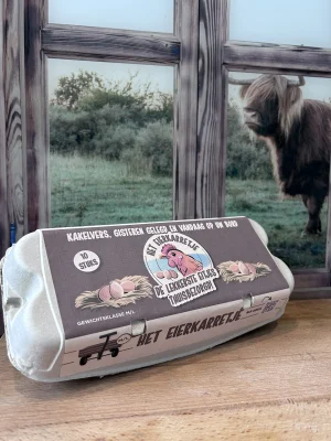 Productfoto Doosje 10 eieren