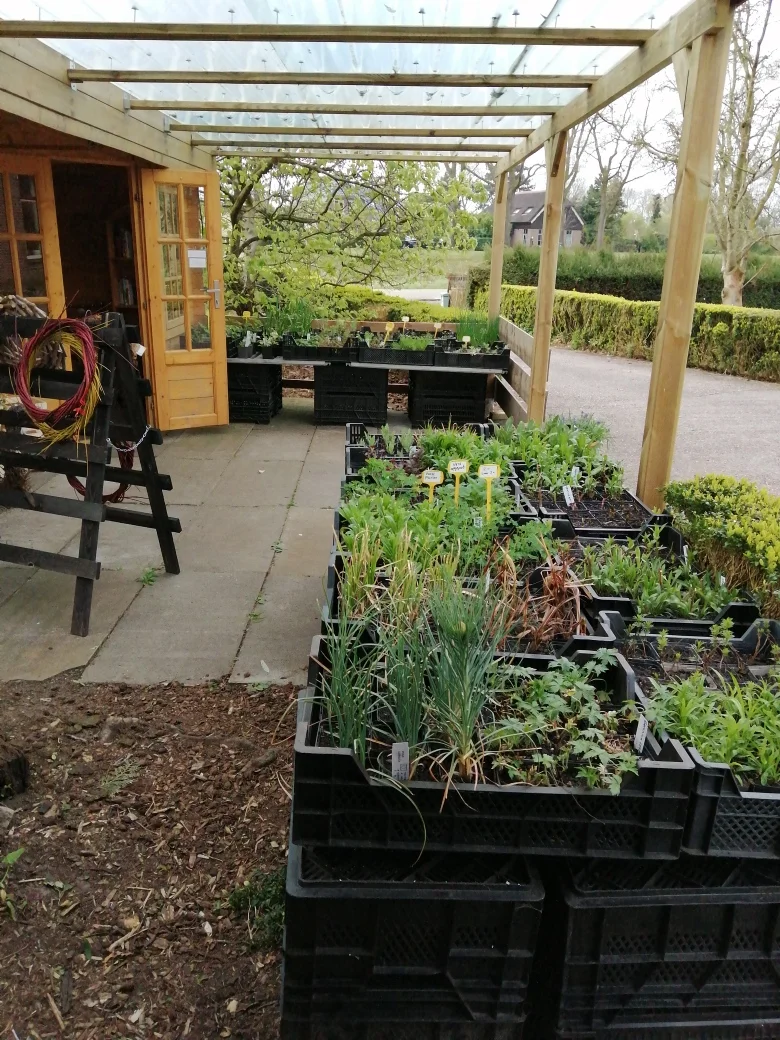 Het Stalletje Stieltjeskanaal Stalletje en Kwekerij in Stieltjeskanaal