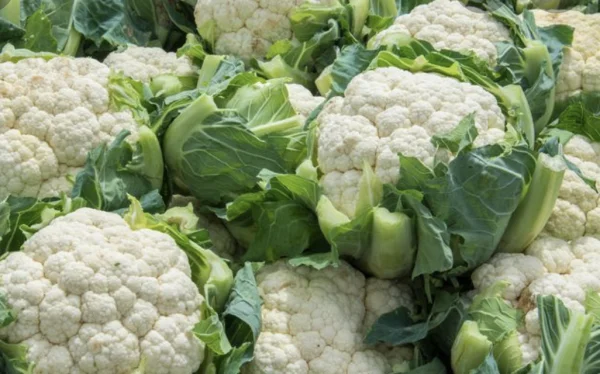 Productfoto Bloemkool