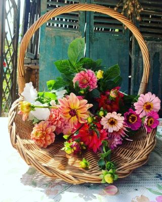 Productfoto Plukboeket XXL tulpen (zelf plukken)