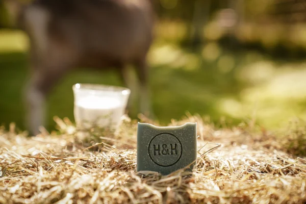 Productfoto Geitenmelkzeep Lavendel