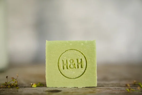 Productfoto Geitenmelkzeep Eucalyptus met sheaboter