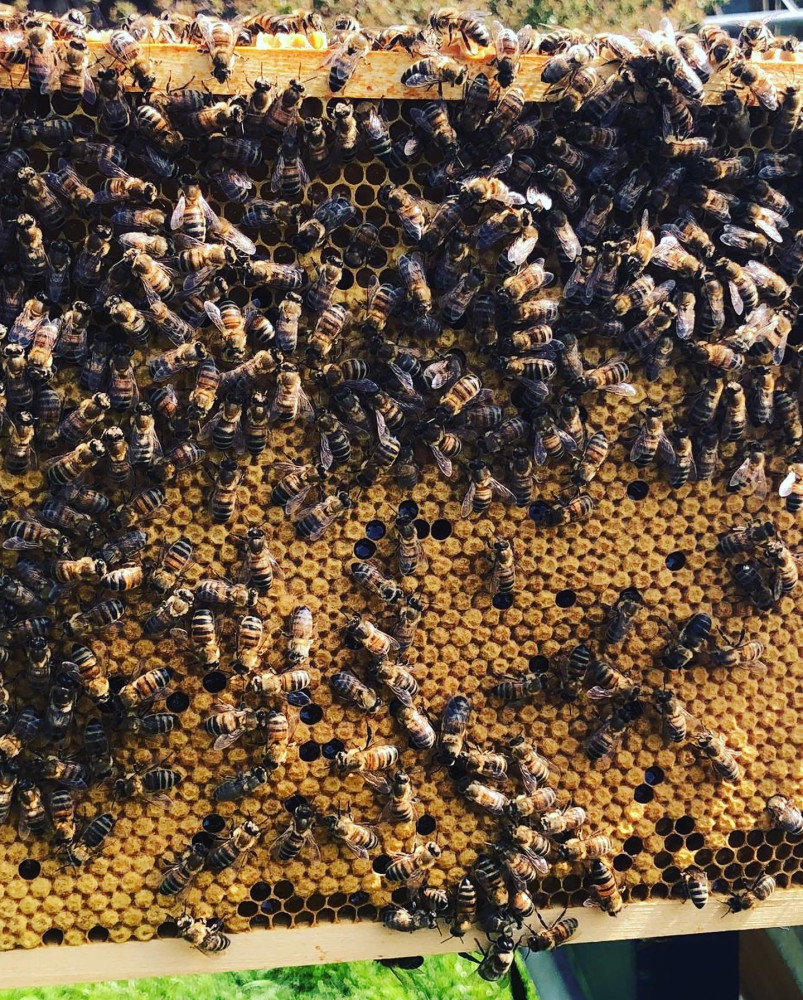 Hoofdafbeelding van I am Happy Bee