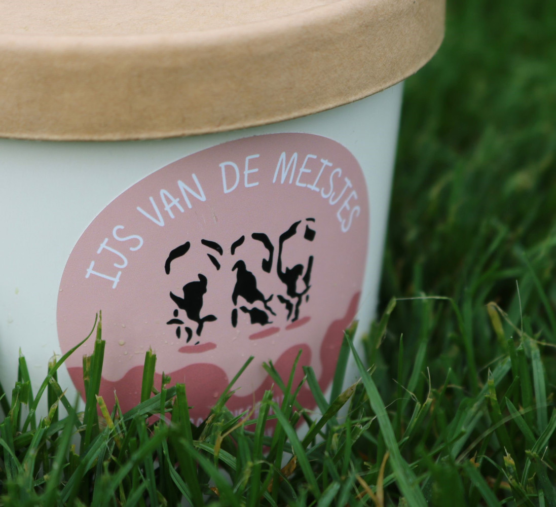 Hoofdafbeelding van IJs van de Meisjes