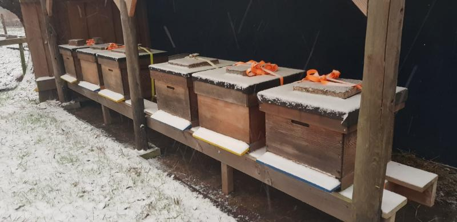 Hoofdafbeelding van Imkerij 't Zod