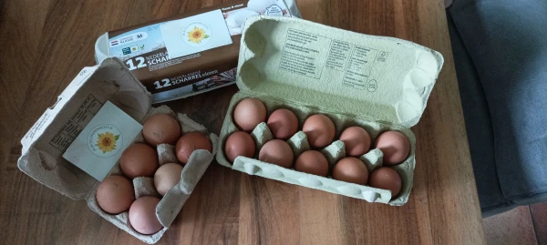 Productfoto Heerlijke verse eieren van eigen kippen