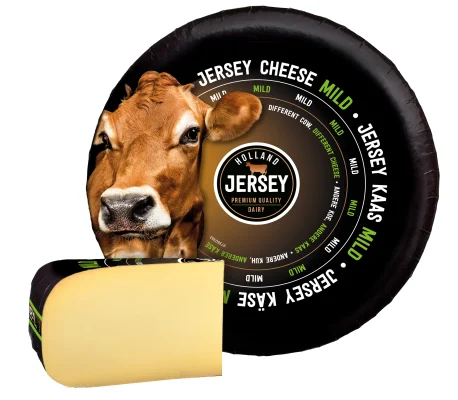 Productfoto Holland Jersey Romige Mild