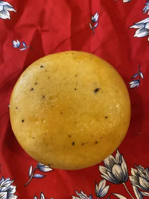 Productfoto Truffelkaas