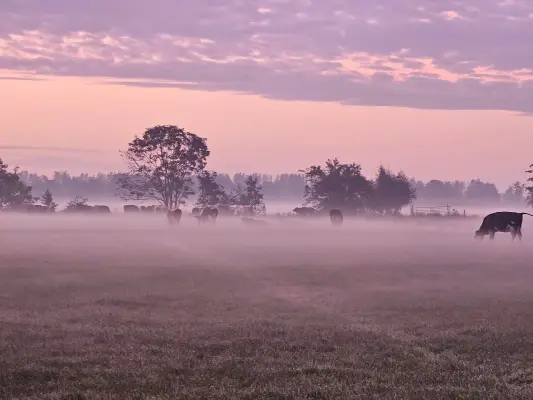 Afbeelding Kaasboerderij Spruithoeve