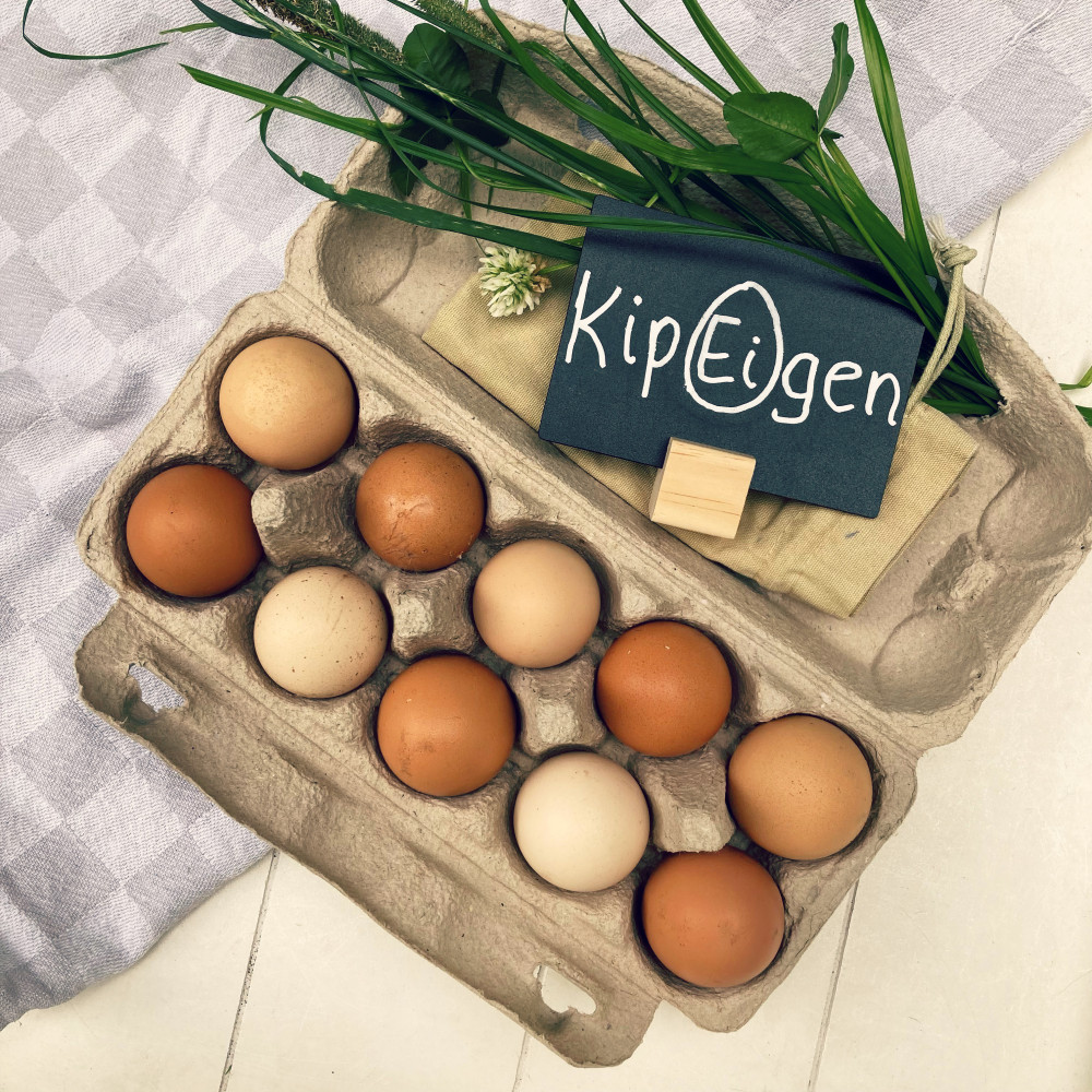 Hoofdafbeelding van KipEigen | Regeneratieve Natuurboerderij Loosdrecht