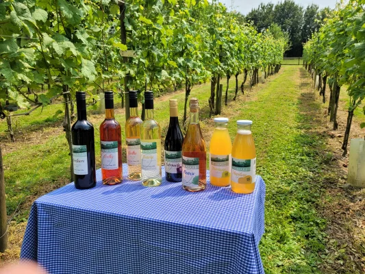 Wijnboerderij- Landgoed De Catharinahoeve, ELMARE