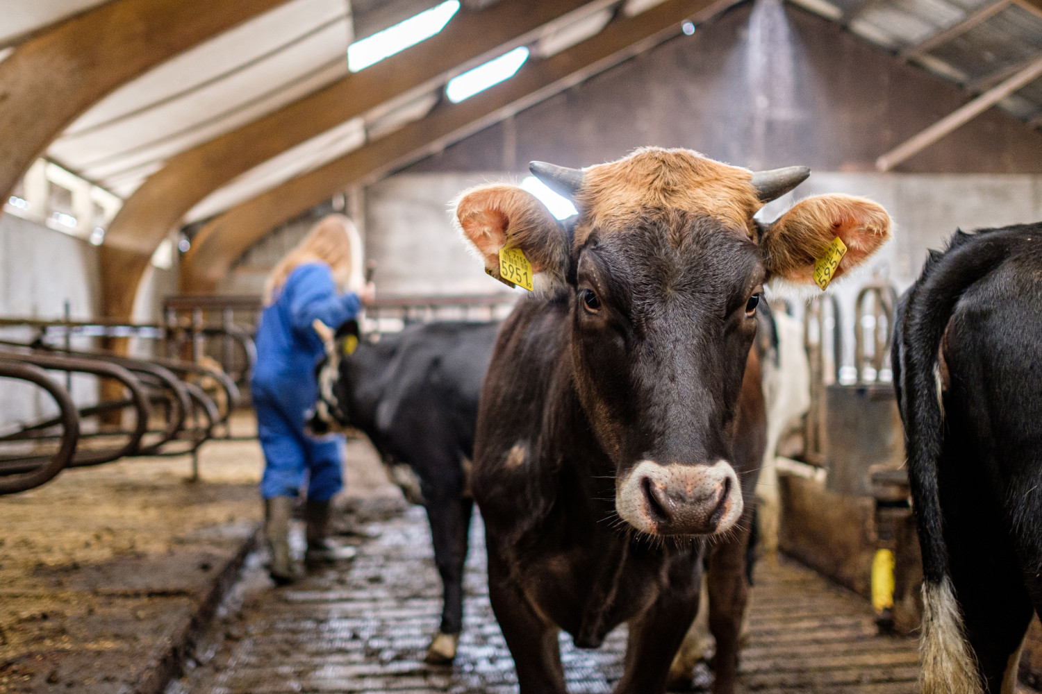 Hoofdafbeelding van Landjuweel de Hoeven 