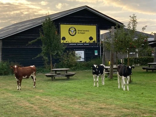 Afbeelding Landwinkel De Huppe