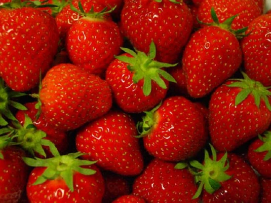 Productfoto Hollandse aardbeien