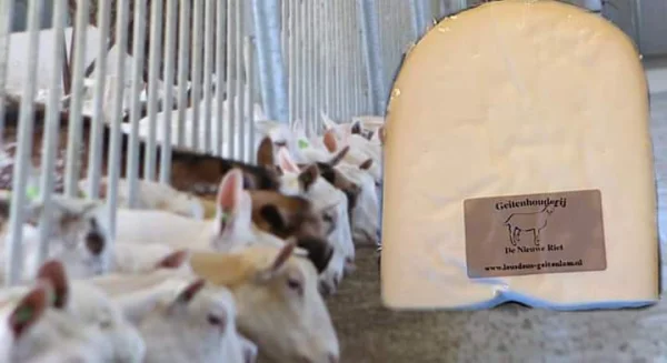 Productfoto Geitenkaas met kruiden 5 verschillende smaken