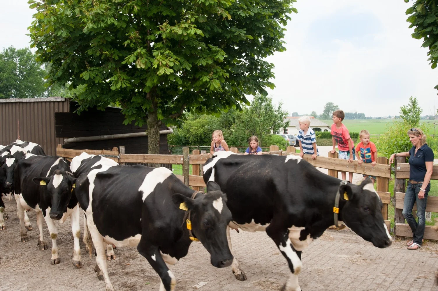 Mariahoeve's Melkhuisje - Boerderijwinkel, Boerderijautomaat, Melktap