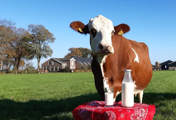 Productfoto Verse rauwe melk