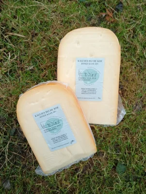 Productfoto KbdK Jonge Kaas 1kg