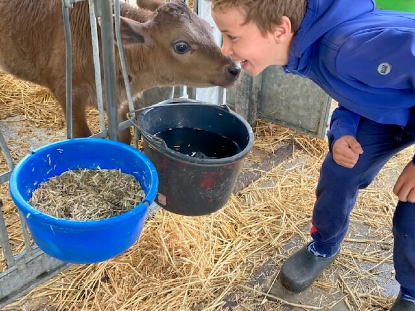 Hoofdafbeelding van Melktap Groene Grens