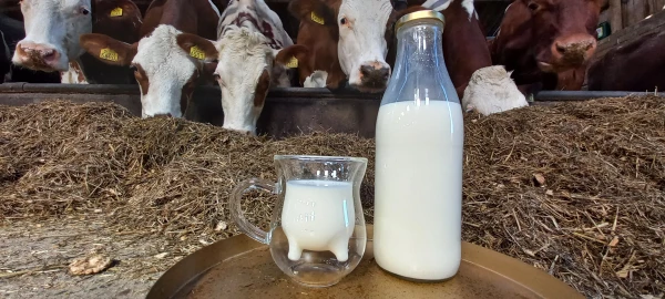 Productfoto Verse rauwe melk uit de tap