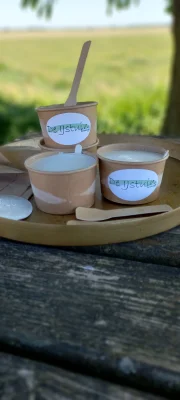 Productfoto Melk-ijs, heerlijk en romig van de melk van onze koeien
