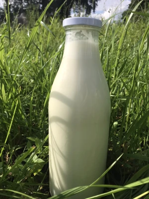 Productfoto Rauwe melk + glazen fles