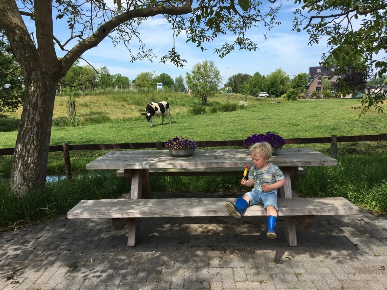 Melktap & Zuivel De Hoef - Stalletje, Boerderijautomaat, Melktap en