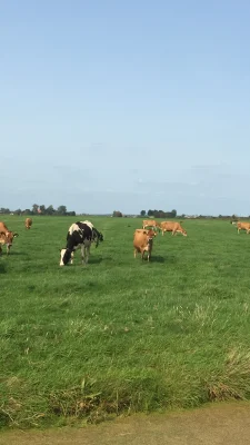 Productfoto Biologische rauwe melk