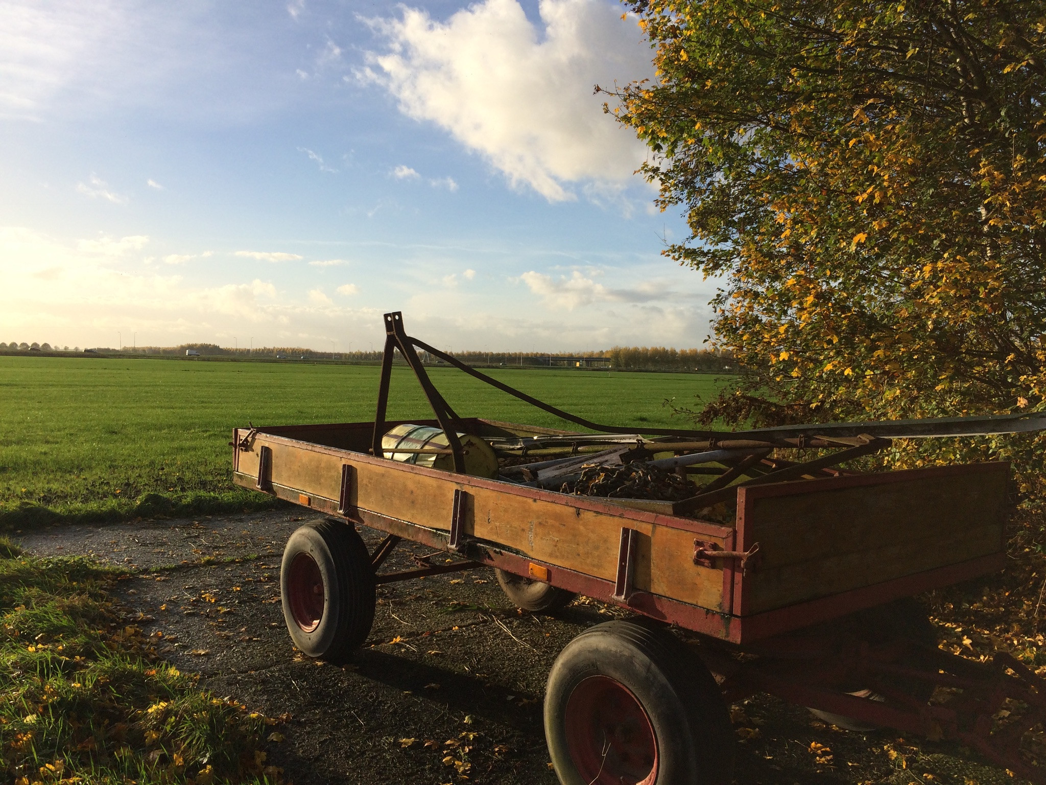 Melkveehouderij B. Talens - Boerderij In Almere