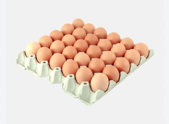 Productfoto Eieren 