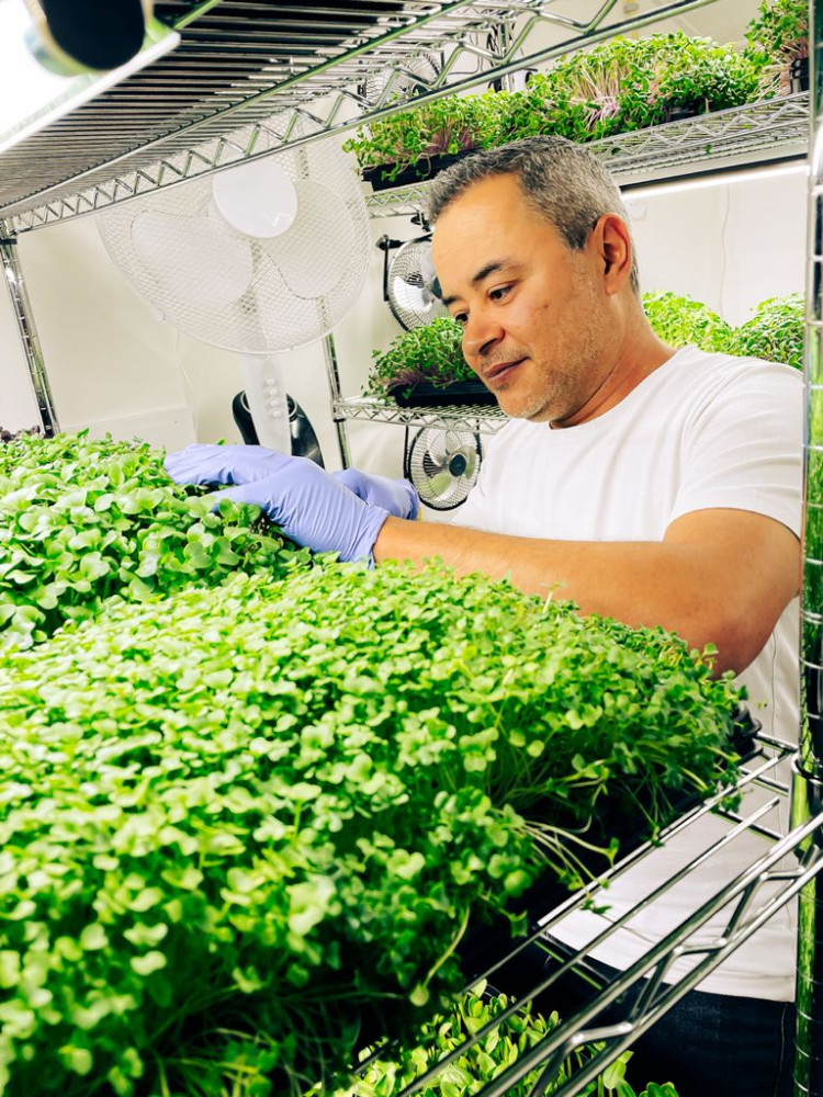 Hoofdafbeelding van Mooy Microgreens 