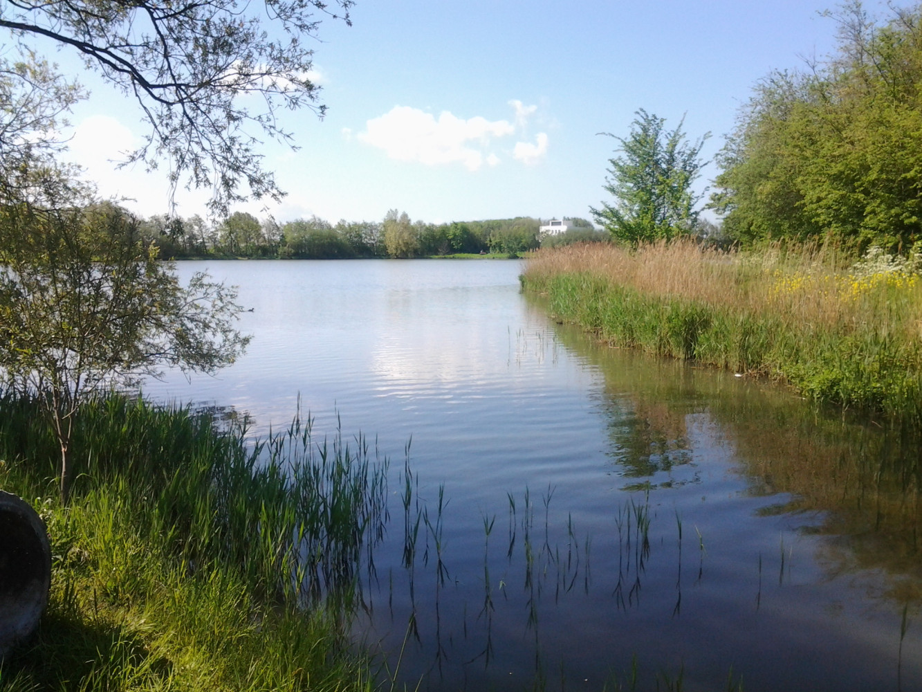 Hoofdafbeelding van Natuurlijk-Westland