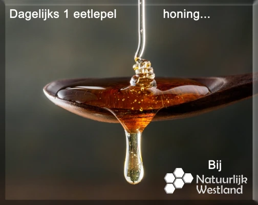 Productfoto Nederlandse rauwe bloemenhoning 10kg 100% imkerhoning