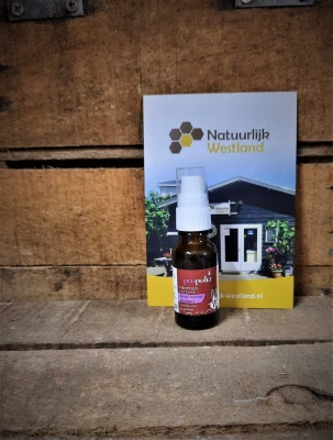 Productfoto Propolis mondspray