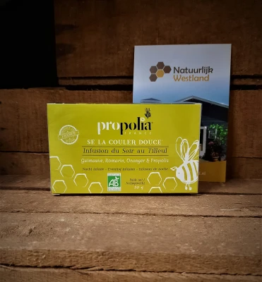 Productfoto Avondthee met lindebloesem