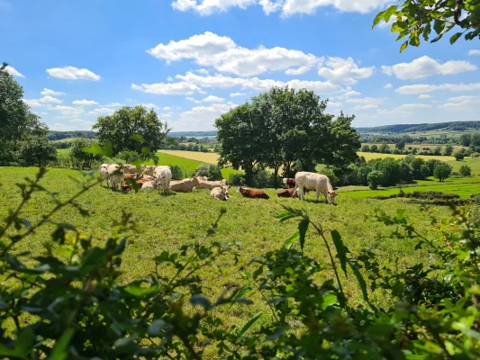 Afbeelding Hoeve Schaffersberg - Natuurvallei.nl