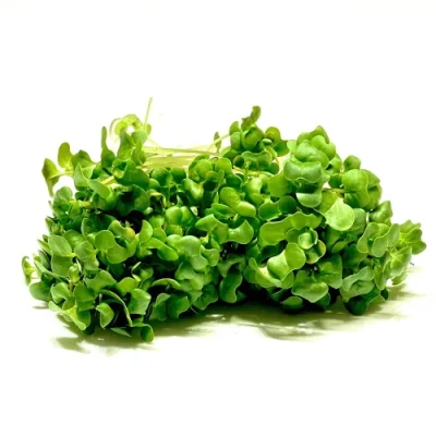 Productfoto Broccoli