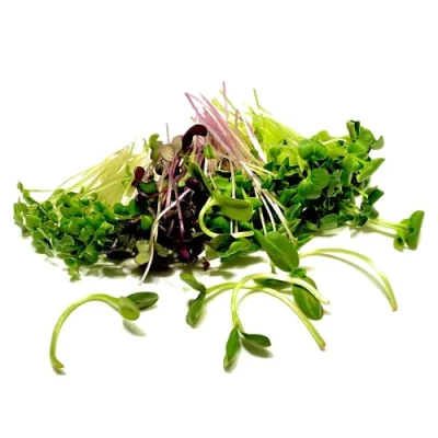 Productfoto Only Microgreens Mix