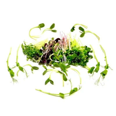 Productfoto Only Microgreens Alles Mix