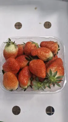 Productfoto 2e klasse aardbeien 500 gram