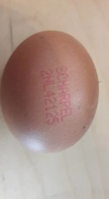 Productfoto Vermeulen scharreleieren 6 stuks