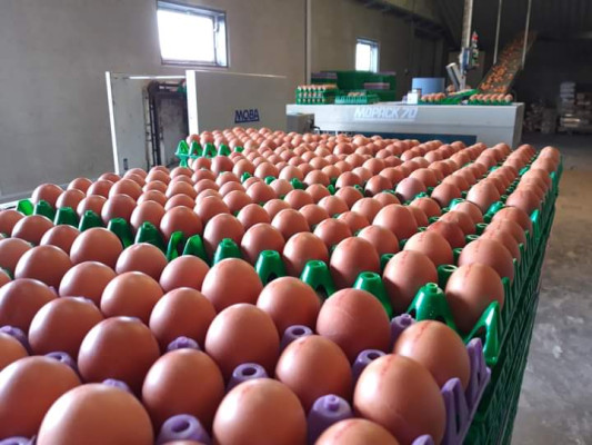 Afbeelding Pake's boerderij eieren