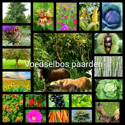 Productfoto Voedselbos
