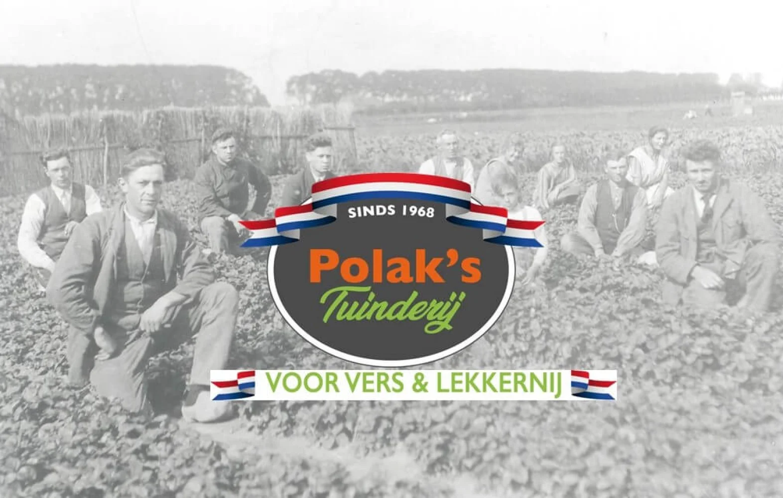 Polaks Tuinderij - Boerderijwinkel en Boerderij in Poortugaal