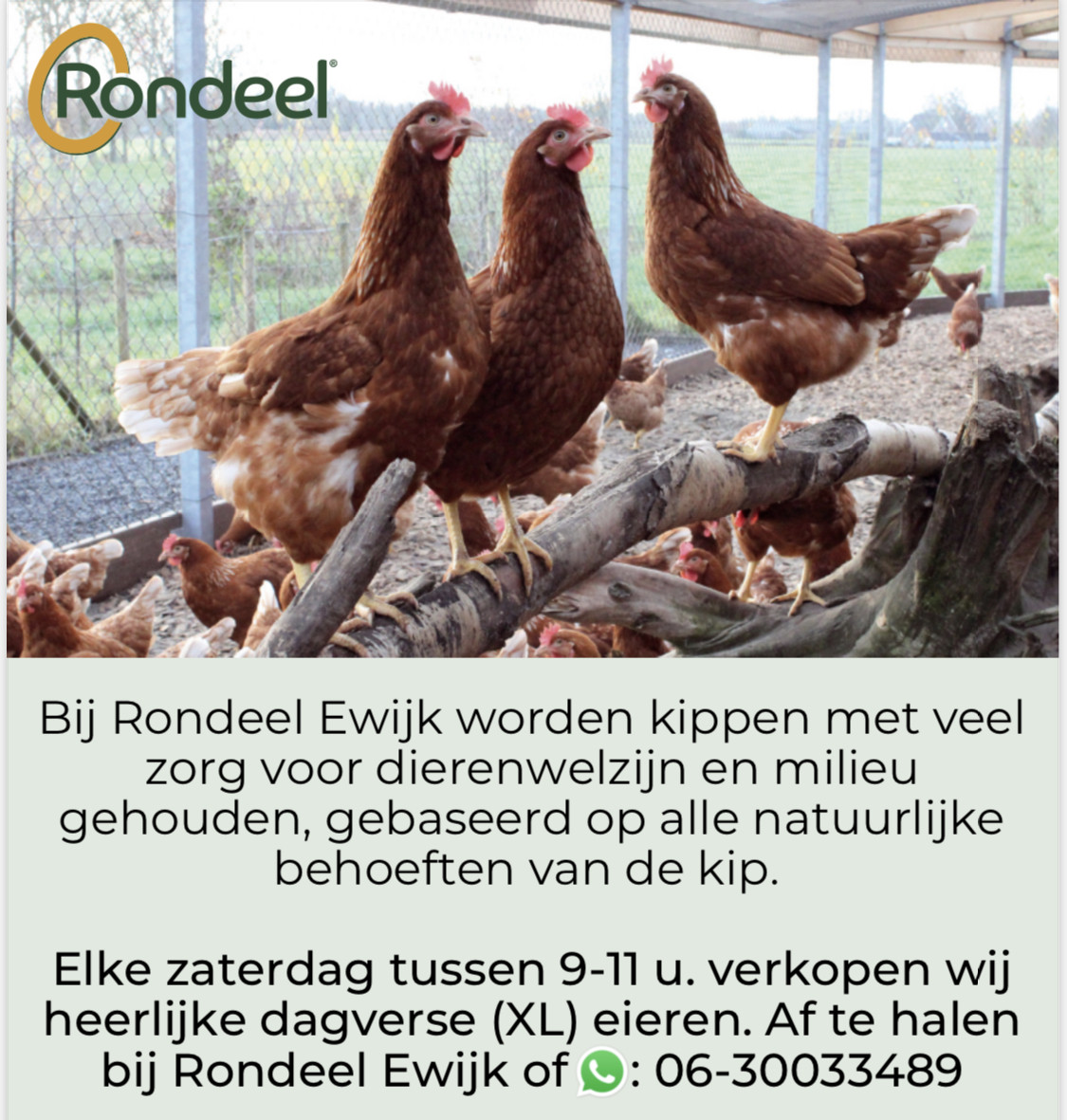 dorst oppakken site Rondeel Ewijk - Boerderij in Ewijk
