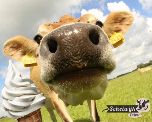 Productfoto IJskoffie