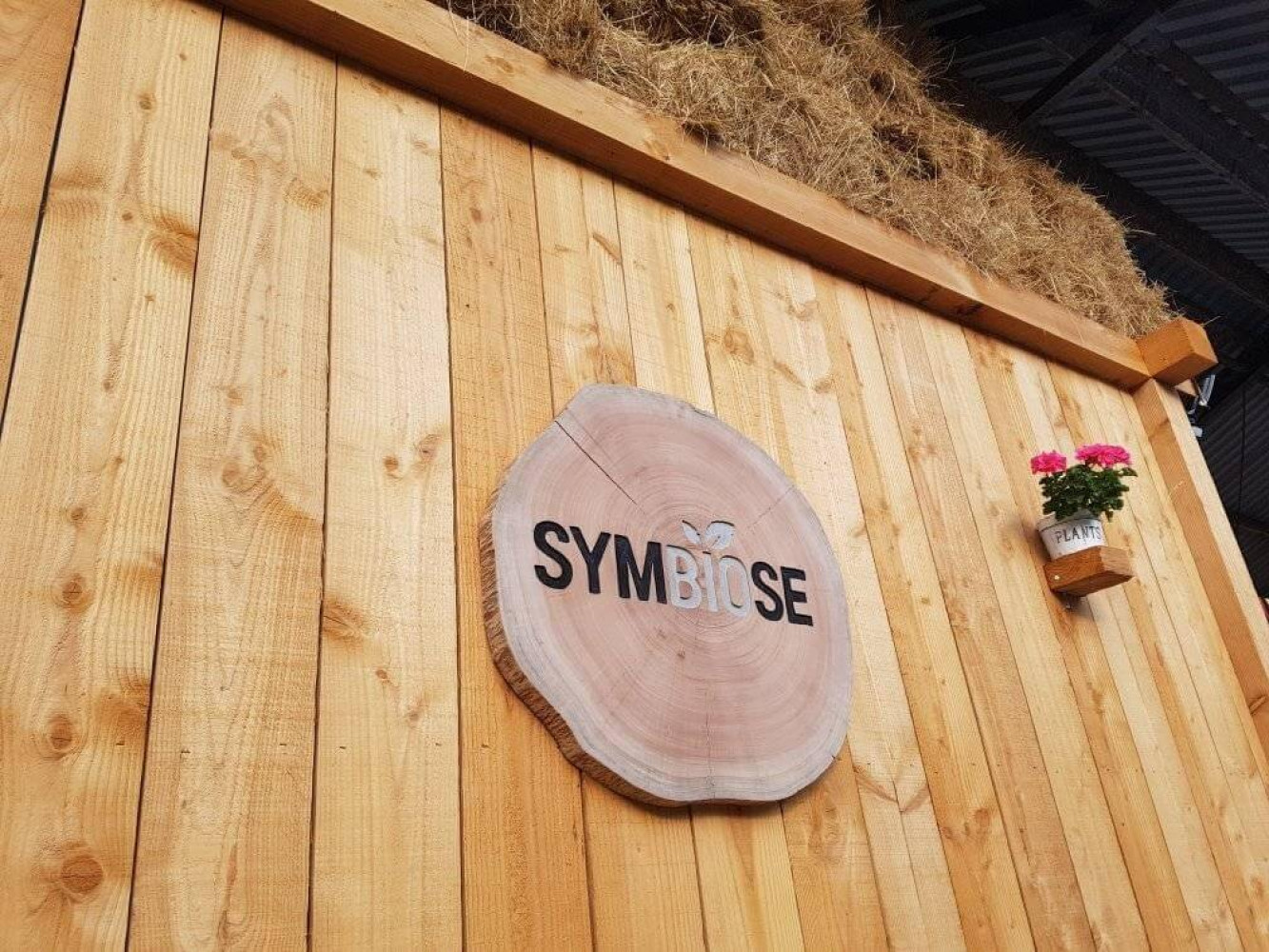Afbeelding voor Symbiose