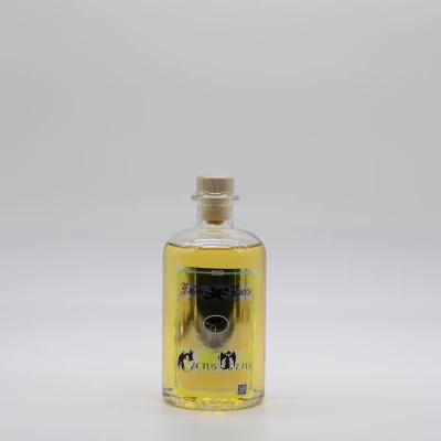 Productfoto Honingwijn Mede Cactus Mead 0,50L