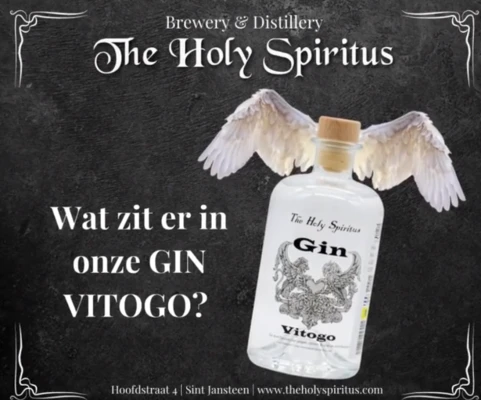Productfoto Gin Vitogo 43 % Alc