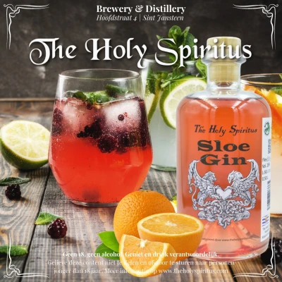 Productfoto Sloe Gin 26 % Alc